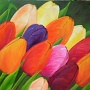 DSCF0096