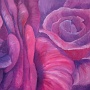 DSCF0106