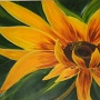 DSCF0283