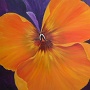 DSCF0545