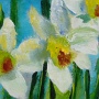 DSCF0607