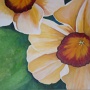 DSCF0657