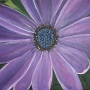 DSCF0730