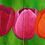 P1000458